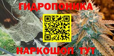 кокаин колумбия Ачхой-Мартан