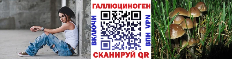 Псилоцибиновые грибы GOLDEN TEACHER  МЕГА маркетплейс  Богородск  наркота 