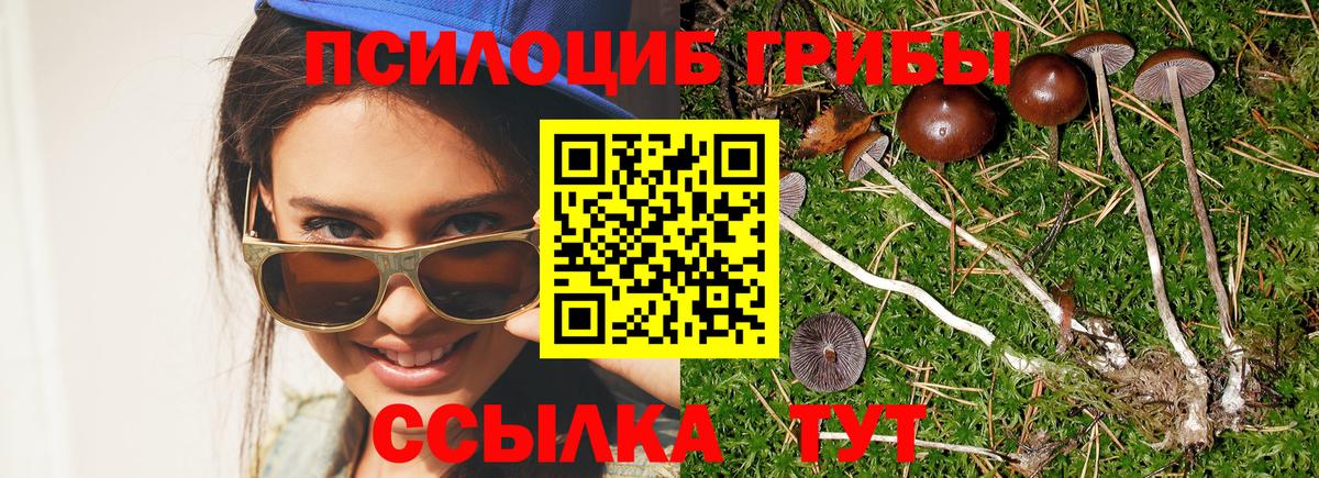 Галлюциногенные грибы Psilocybe  Вход с VPN  Богородск  Псилоцибиновые грибы Magic Shrooms 